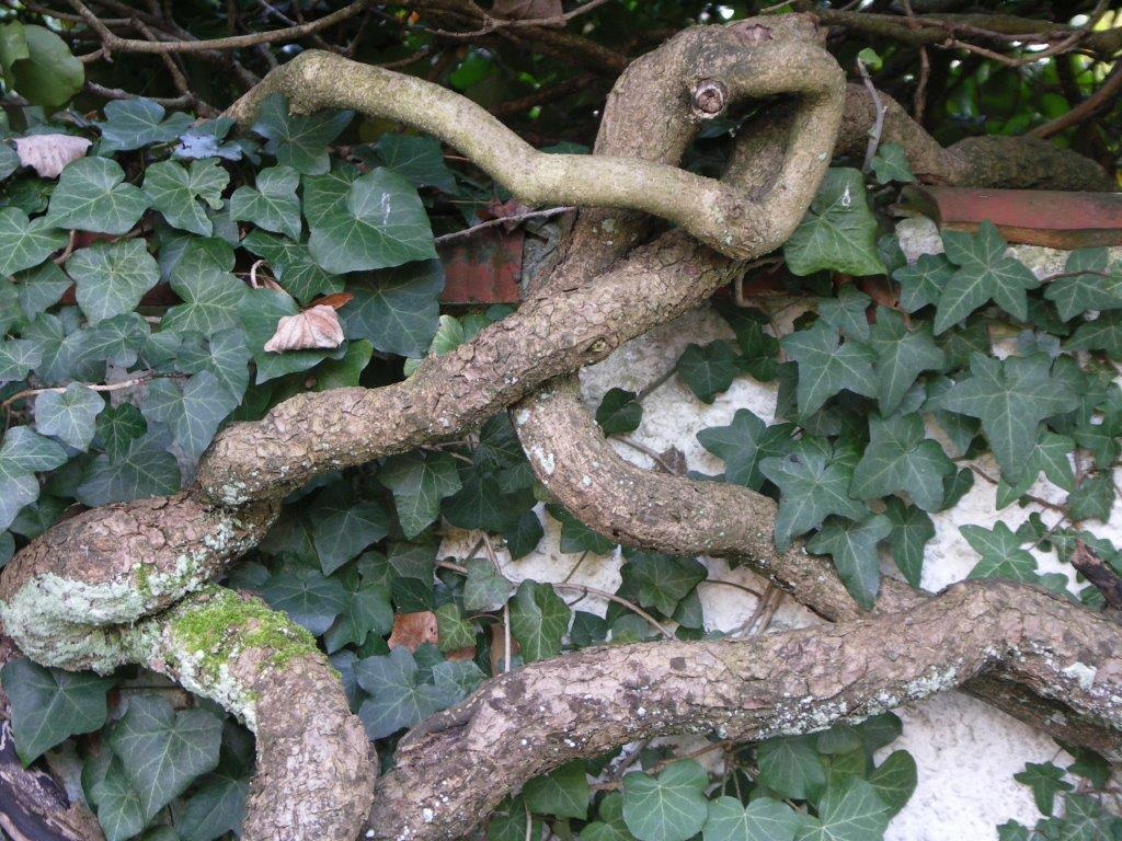 In der Trauer nicht allein sein